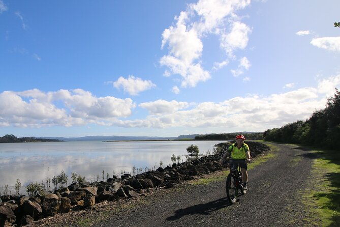 Auckland Half Day E-Bike Excursion - Detailed Breakdown of the Itinerary