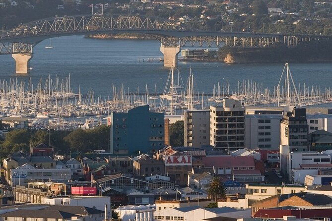 Auckland Private City Tour. Cruise port or Hotel pick up. - A Detailed Look at the Itinerary