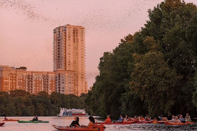 austin-sunset-bat-watching-kayak-tour