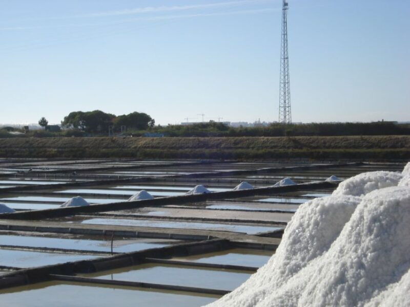 aveiro-boat-cruise-and-city-walking-tour-with-sweet-tasting