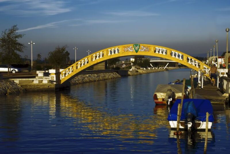 aveiro-half-day-tour-with-boat-ride