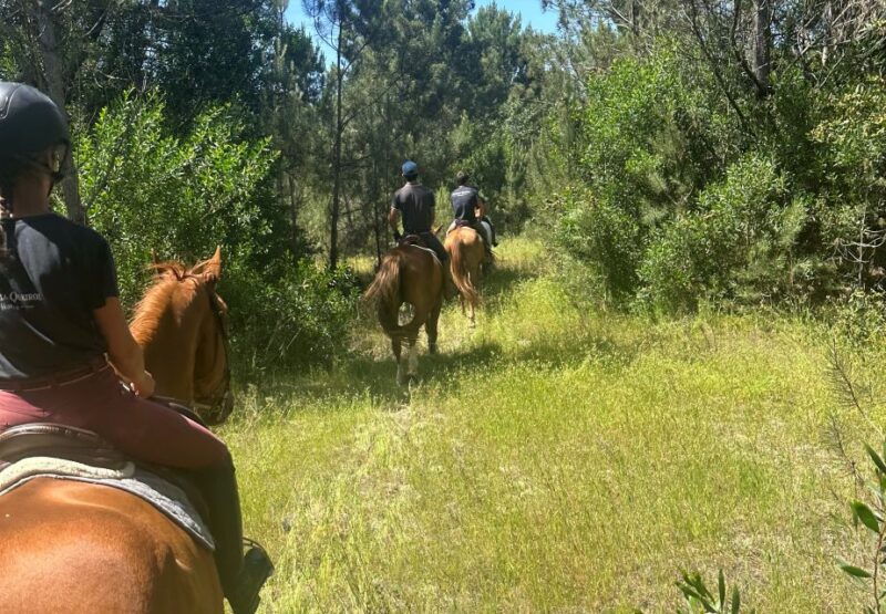 aveiro-horse-riding-experience-with-instructor