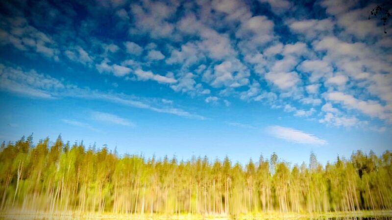 awakening-five-senses-in-finnish-nature-traditional-sauna