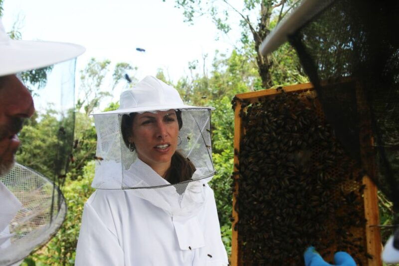 azores-beekeeping-tour-and-honey-taste-2