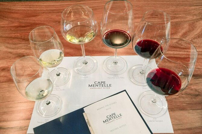 Back Vintage Wine Tasting - Guides and Staff: The Heart of the Experience
