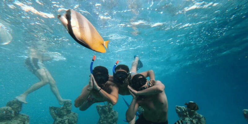 bali-3-day-private-gili-islands-snorkel-tour-with-hotel