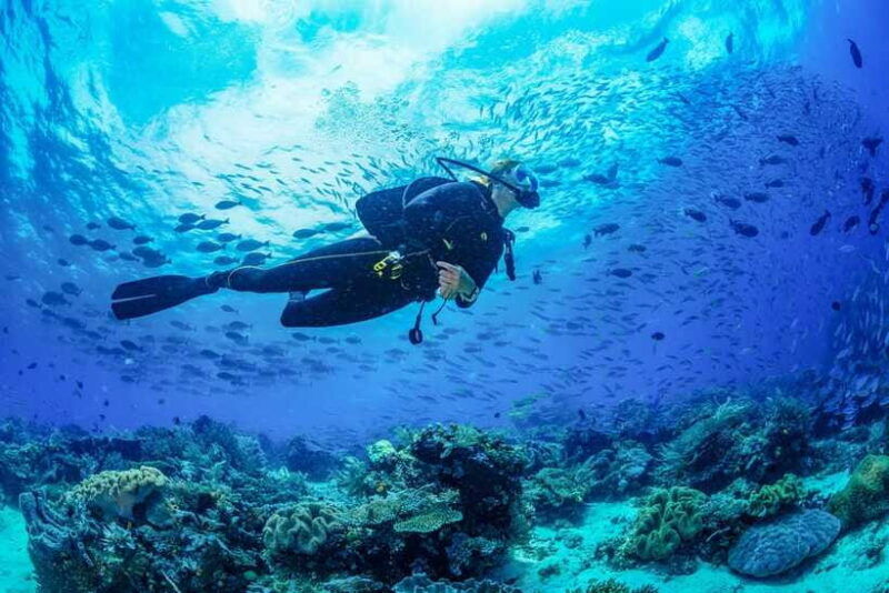 bali-3-days-padi-open-water-diving-course