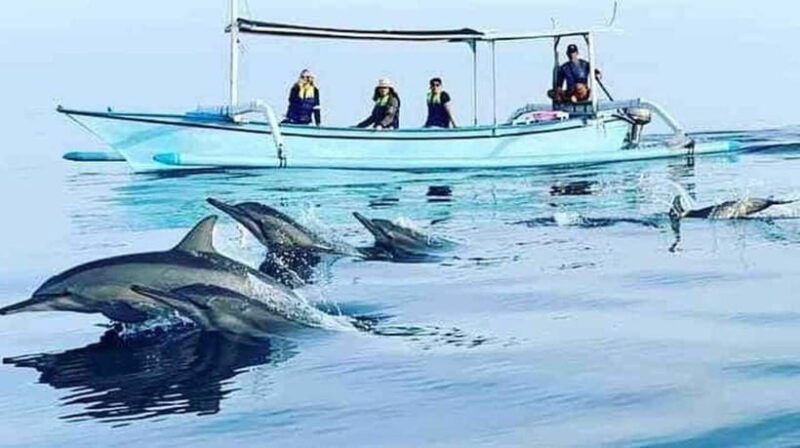 bali-5-day-north-bali-coastal-wine-dolphin-tour-package