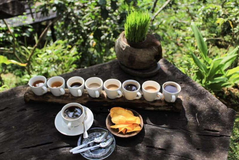 bali-authentic-culinary-street-food-experience-tour