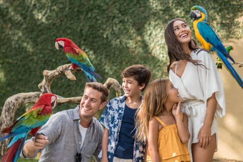 bali-bird-park-1-day-admission-ticket-2