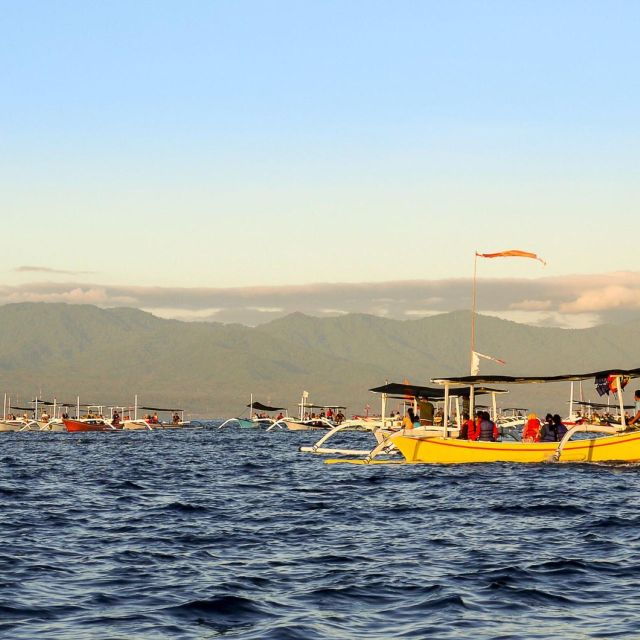 bali-bliss-dolphin-lovina-private-expedition