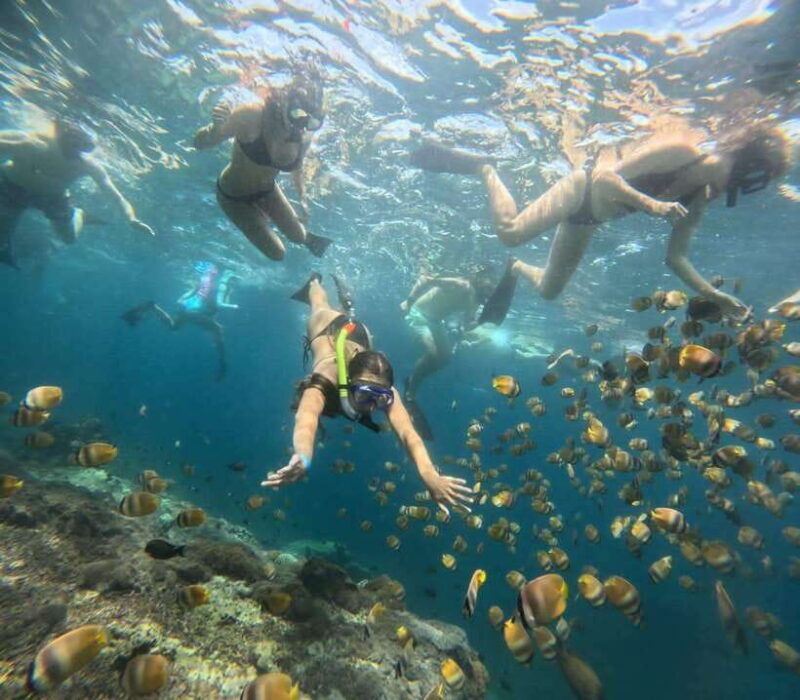 bali-blue-lagoon-and-tanjung-jepun-snorkeling-tour-with