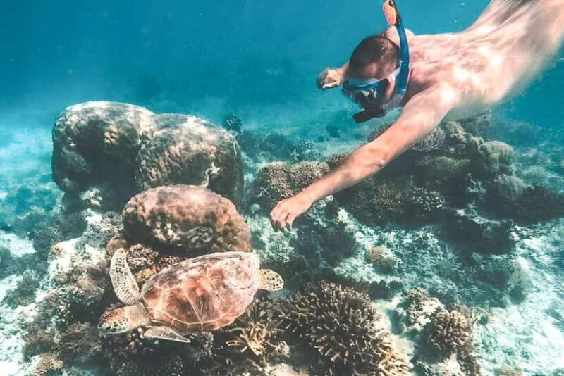 bali-blue-lagoon-snorkeling-tour-with-ayung-river-rafting