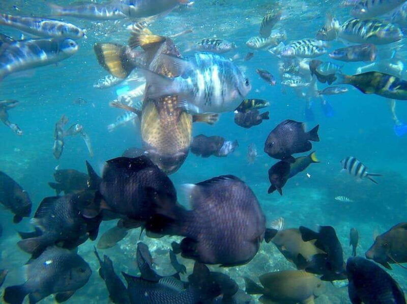 bali-blue-lagoon-snorkeling-waterfall-tour