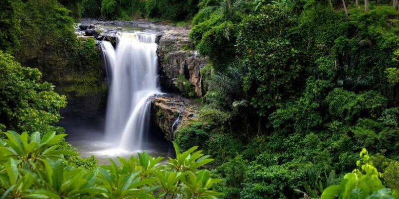 bali-costumized-tour-with-private-transport-and-guide