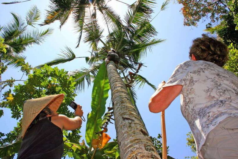 bali-experience-authentic-balinese-life-private-tour