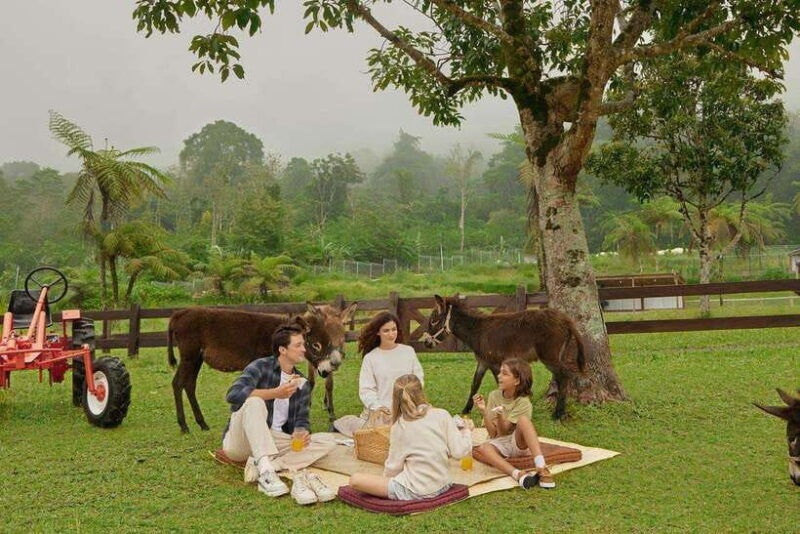 bali-farm-house-experience-with-entry-ticket-options