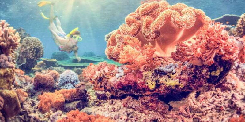 bali-full-day-snorkeling-trip-to-nusa-penida-manta-point