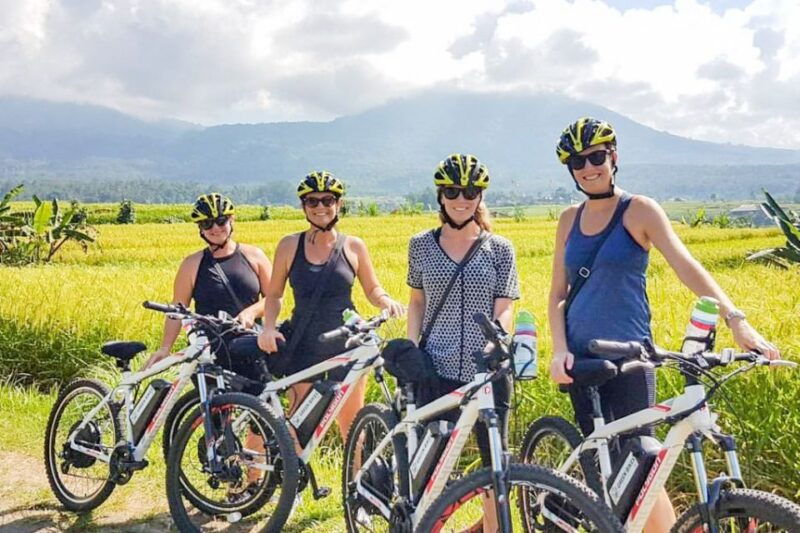 bali-jatiluwih-rice-terraces-1-hour-electric-bike-tour