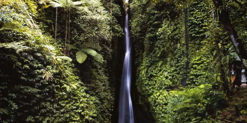 bali-leke-leke-waterfall-monkey-forest-jungle-swing-tour