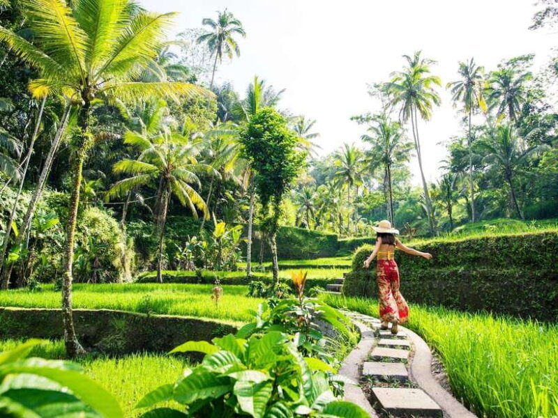 bali-lempuyang-temple-water-palace-and-waterfall-tour