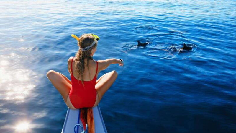 bali-lovina-dolphin-snorkeling-swimming-waterfall-tour