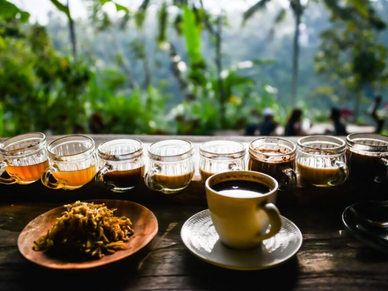 bali-nature-culture-tour-besakih-kintamani-penglipuran