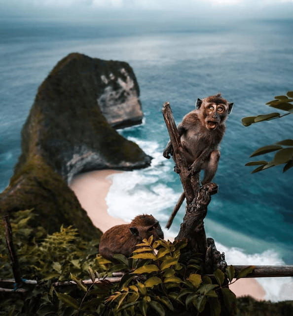 bali-nusa-penida-highlight-west-fullday-nature-tour-lunch
