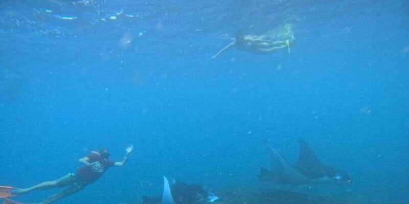 bali-nusa-penida-tour-with-lunch-manta-point-snorkeling