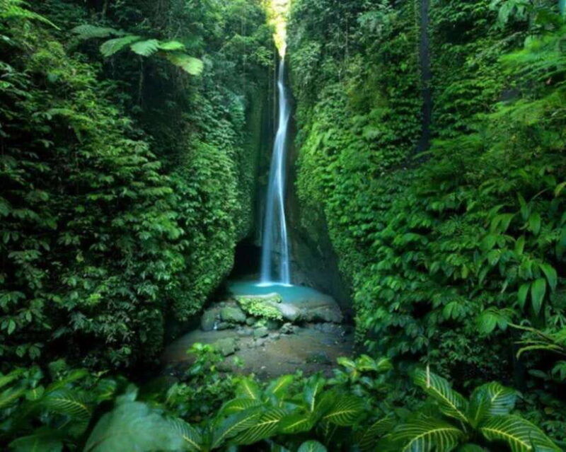 bali-private-north-sightseeing-jatiluwih-ulun-danau-temple