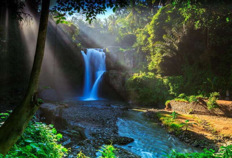 bali-shared-or-private-highlights-ubud-with-cretya-jungle