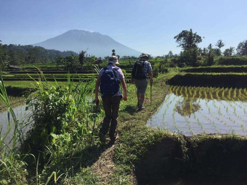 bali-sidemen-trekking-with-besakih-temple-tour-rafting