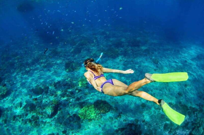 bali-snorkeling-blue-lagoon-and-tanjung-jepun-all-inclusive