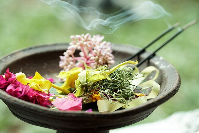Bali Spiritual: Blessing Ceremony, Pristine Nature and Transfer - What We Appreciated About This Tour