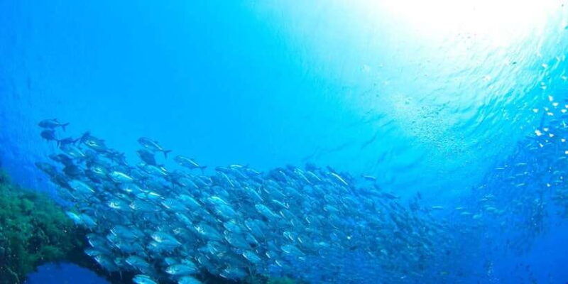 bali-tulamben-usat-liberty-wreck-scuba-diving