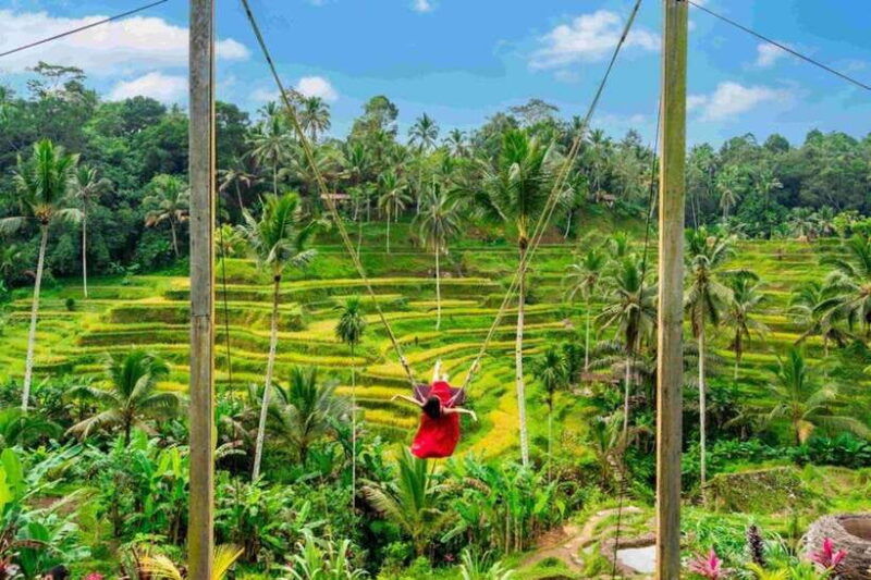 bali-ubud-amazing-volcano-tour-with-tirta-empul-temple