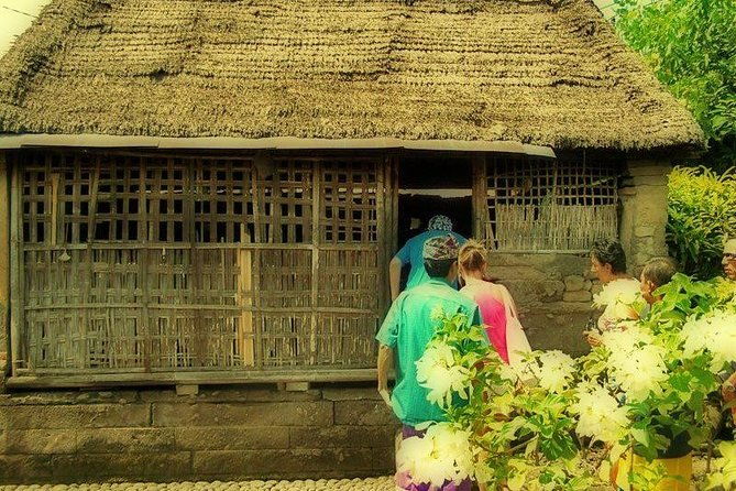 Bali Ubud & Kintamani Volcano Tour -All Inclusive - Who Would Benefit Most?