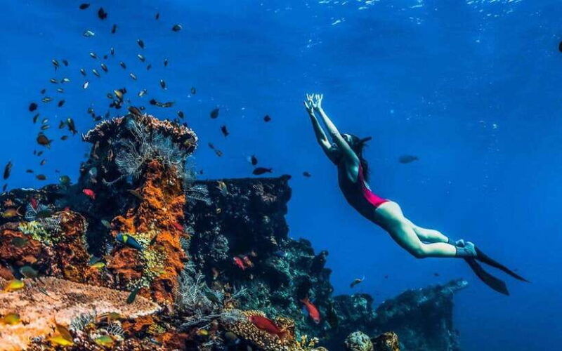 bali-underwater-paradise-diving-experience
