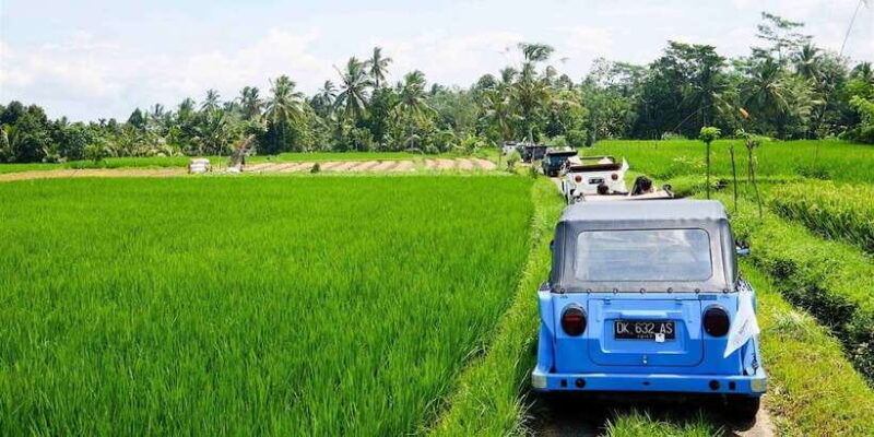 bali-vintage-vw-jeep-countryside-safari