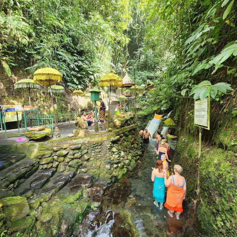 balinese-purification-at-holy-water-temple-with-local