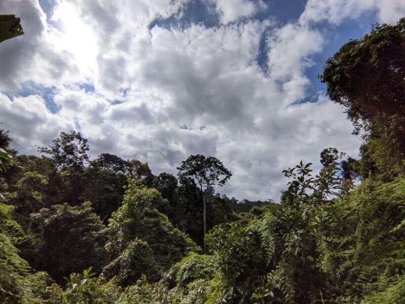balis-mystical-jungle-trek-hidden-waterfall-adventure