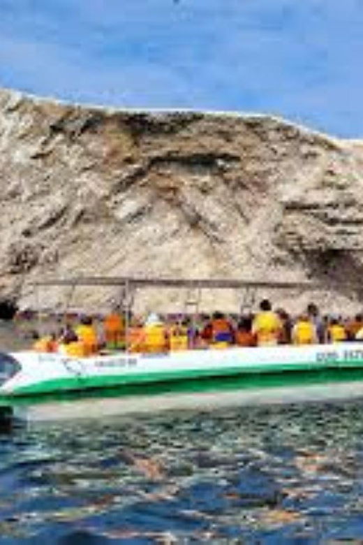 ballestas-islands-tour-3