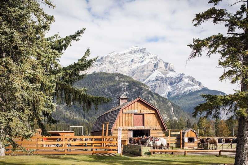 banff-3-hour-bow-valley-loop-horseback-ride