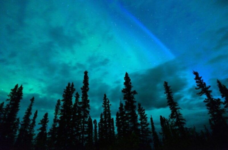 banff-canmore-night-adventure-with-possible-stargazing-tour