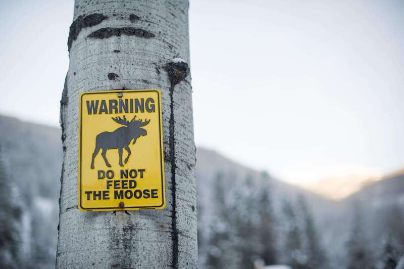 banff-explore-winter-nature-walk-ice-cleats-included-2h