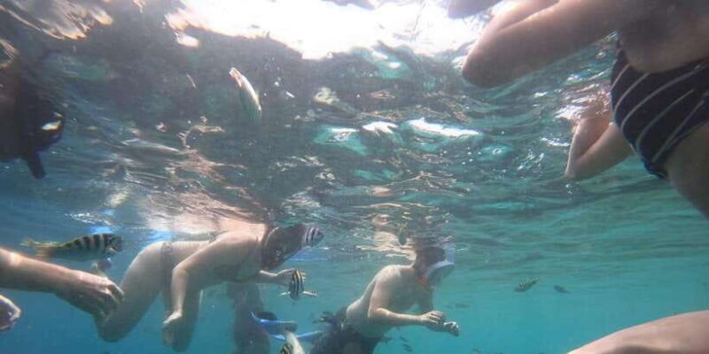 banyuwangi-1-day-tour-snorkeling-explore-menjangan-island