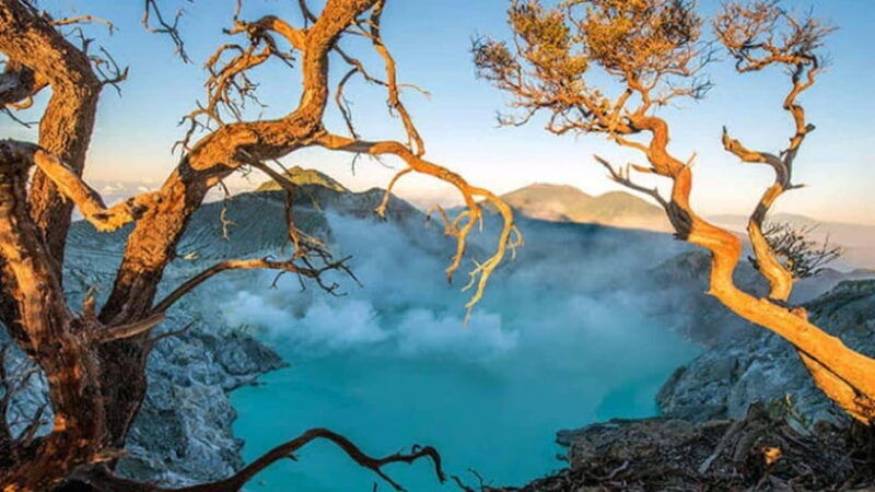 banyuwangi-2-day-adventure-with-baluran-national-park