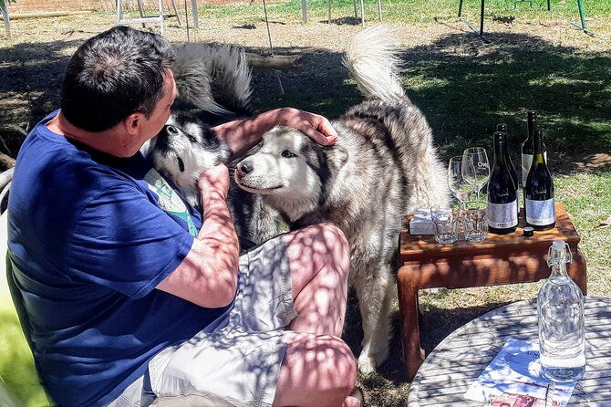 Barossa Private Wine Tour - What Sets This Tour Apart?