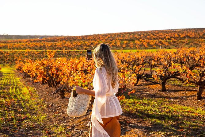 Barossa Small Group Wine Tours with Wine Tasting and Lunch - Final Thoughts