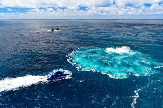 Bay of Islands Discovery Experience from Auckland incl. Hole In The Rock Cruise - What Makes This Tour Stand Out?